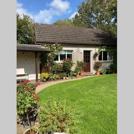 Mews With Garden Views Appartement Carlow Buitenkant foto