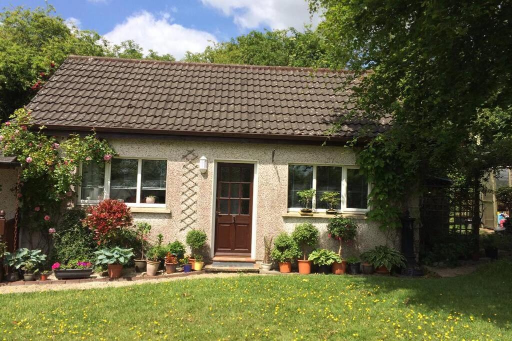 Mews With Garden Views Appartement Carlow Buitenkant foto