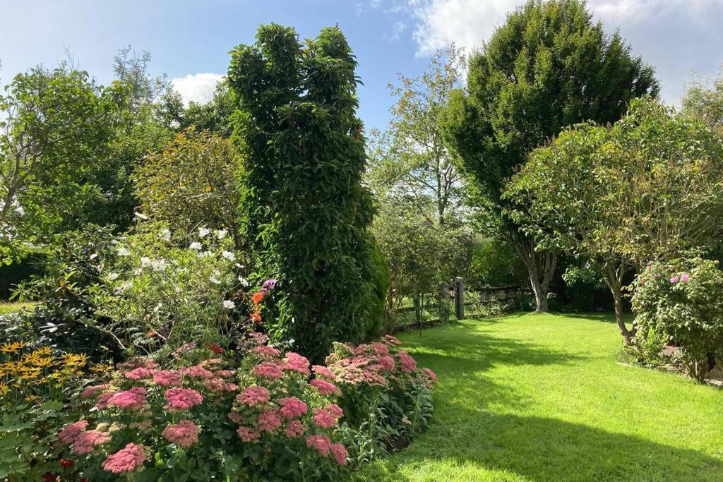 Mews With Garden Views Appartement Carlow Buitenkant foto