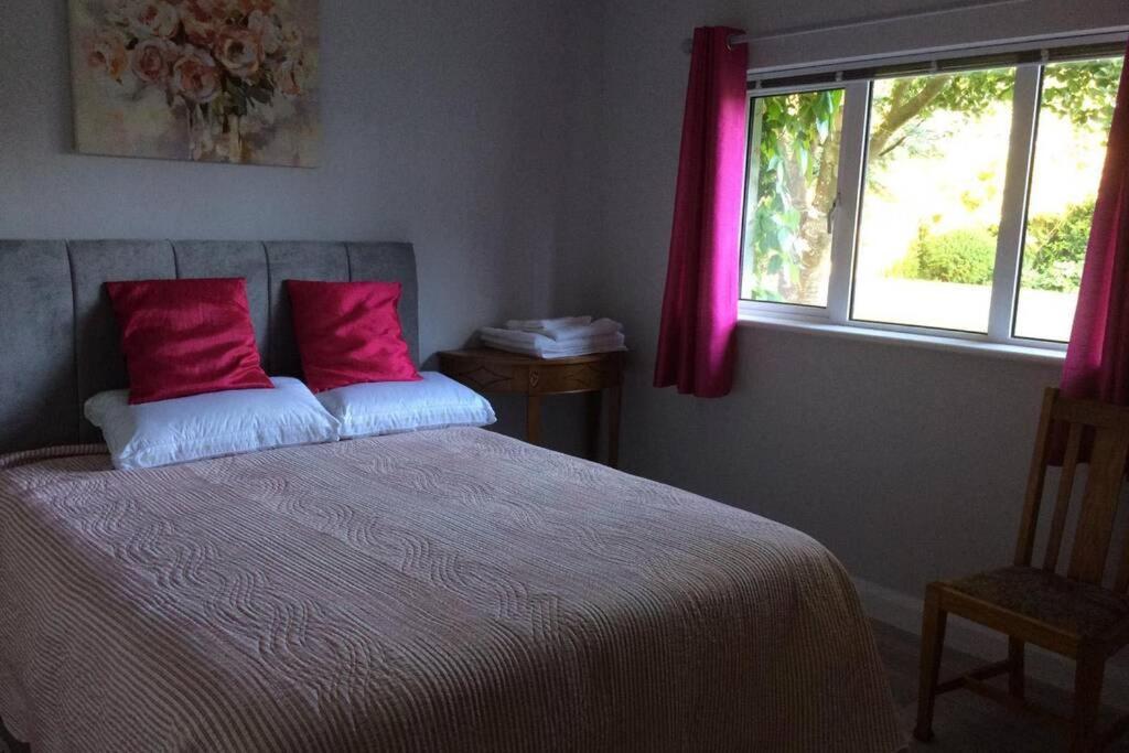 Mews With Garden Views Appartement Carlow Buitenkant foto